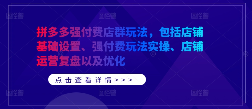 拼多多强付费店群玩法，包括店铺基础设置、强付费玩法实操、店铺运营复盘以及优化-星河轻创