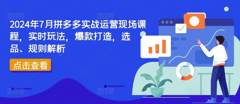 2024年7月拼多多实战运营现场课程，实时玩法，爆款打造，选品、规则解析-星河轻创
