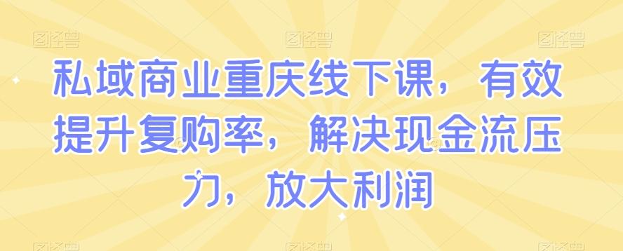 私域商业重庆线下课，有效提升复购率，解决现金流压力，放大利润-星河轻创