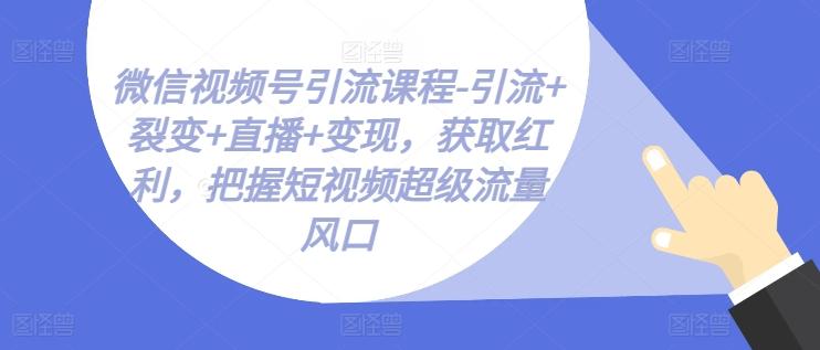 微信视频号引流课程-引流+裂变+直播+变现，获取红利，把握短视频超级流量风口-星河轻创