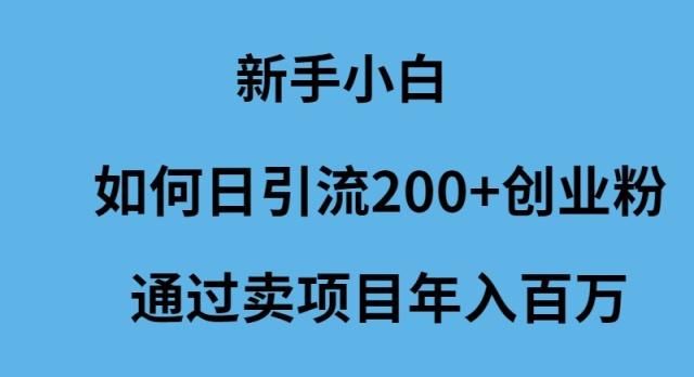 (9668期)新手小白如何日引流200+创业粉通过卖项目年入百万-星河轻创