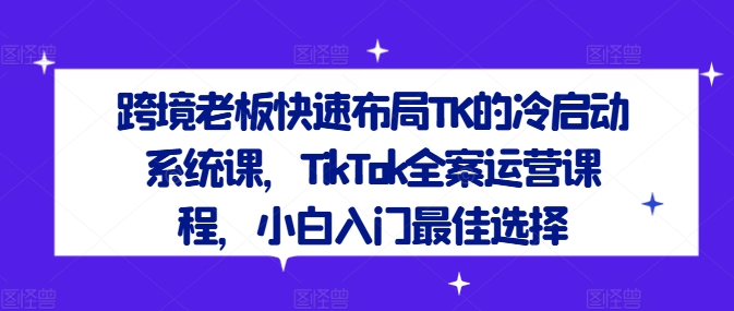 跨境老板快速布局TK的冷启动系统课，TikTok全案运营课程，小白入门最佳选择-星河轻创