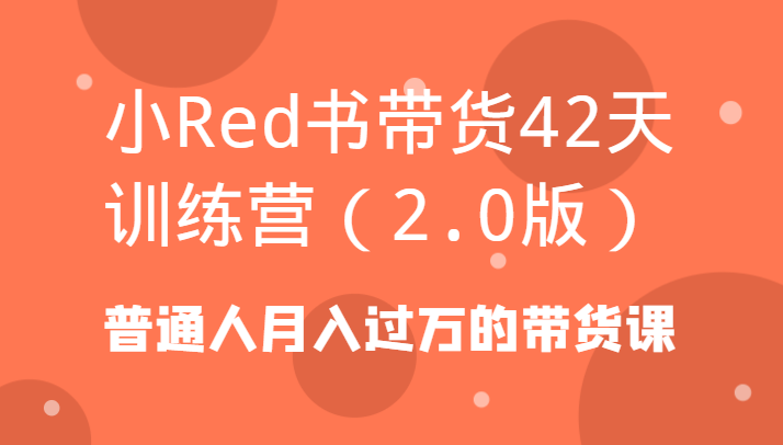 小Red书带货42天训练营(2.0版)普通人月入过万的带货课-星河轻创