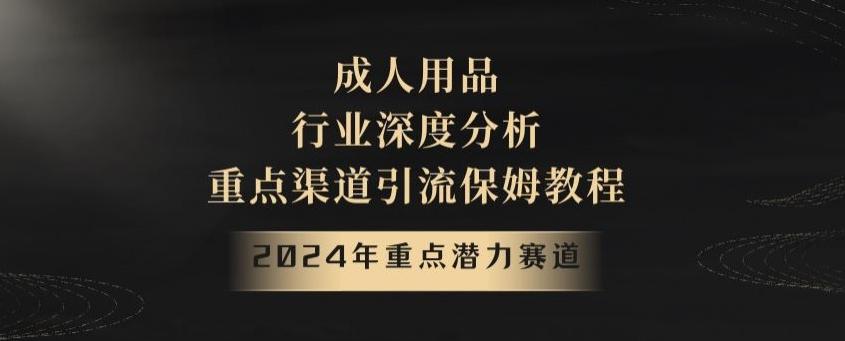 2024年重点潜力赛道，成人用品行业深度分析，重点渠道引流保姆教程【揭秘】-星河轻创