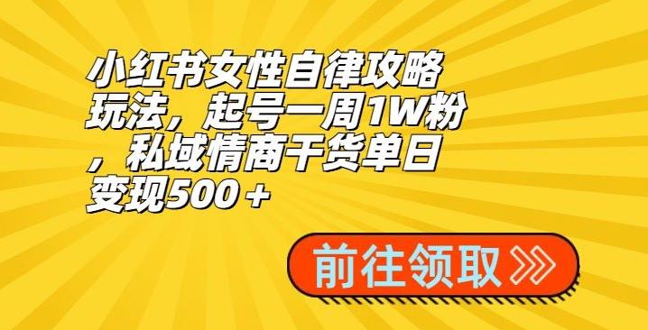 小红书女性自律攻略玩法，起号一周1W粉，私域情商干货单日变现500＋-星河轻创