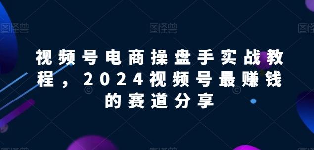 视频号电商实战教程，2024视频号最赚钱的赛道分享-星河轻创