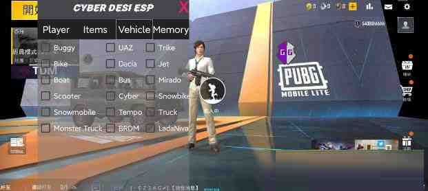 PUBG轻量老外裸奔绘制+自瞄 支持ROOT和框架 里面有全局离线-星河轻创