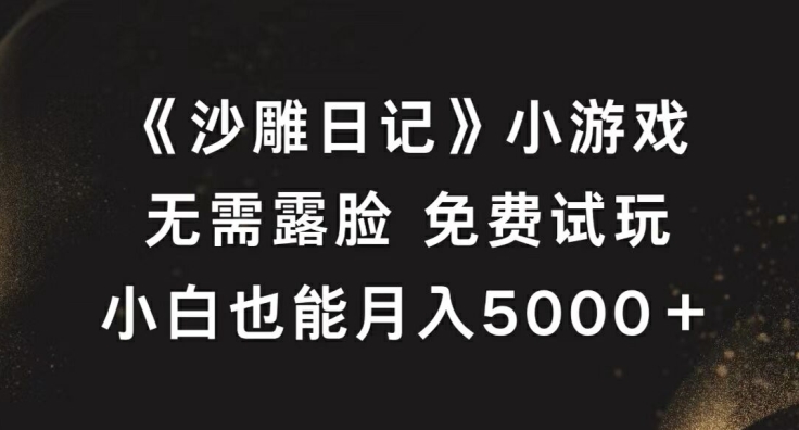 《沙雕日记》小游戏，无需露脸免费试玩，小白也能月入5000+【揭秘】-星河轻创