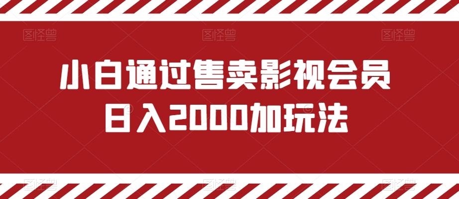 小白通过售卖影视会员日入2000加玩法-星河轻创