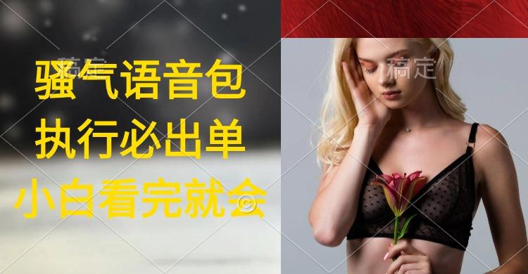 (9589期)执行就出单，日入2000+，超火骚气语音包，小白看完课程就能马上实操-星河轻创