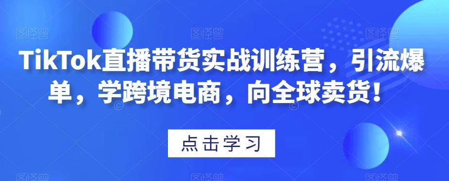 TikTok直播带货实战训练营，引流爆单，学跨境电商，向全球卖货！-星河轻创