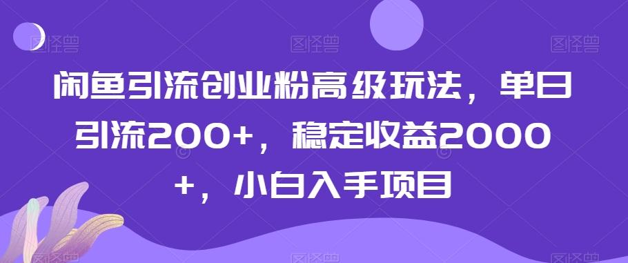 闲鱼引流创业粉高级玩法，单日引流200+，稳定收益2000+，小白入手项目-星河轻创