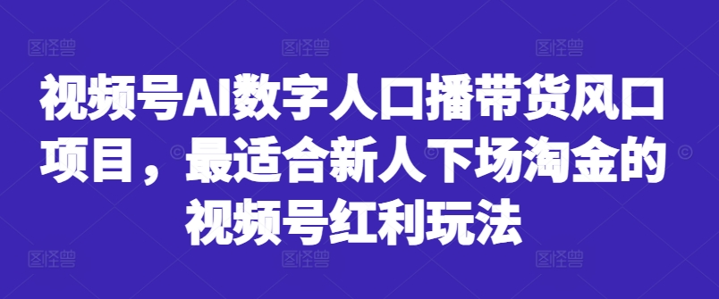视频号AI数字人口播带货风口项目，最适合新人下场淘金的视频号红利玩法-星河轻创