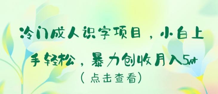 冷门成人识字项目，小白上手轻松，暴力创收月入5w+【揭秘】-星河轻创