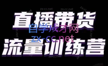 婉婉·直播带货课程系列合集(更新8月)-星河轻创