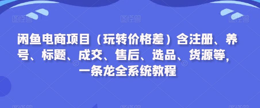 闲鱼电商项目(玩转价格差)含注册、养号、标题、成交、售后、选品、货源等，一条龙全系统教程-星河轻创