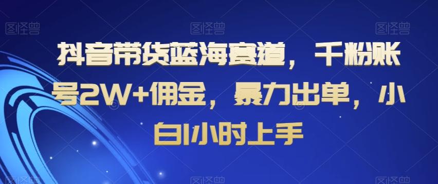 抖音带货蓝海赛道，千粉账号2W+佣金，暴力出单，小白1小时上手【揭秘】-星河轻创