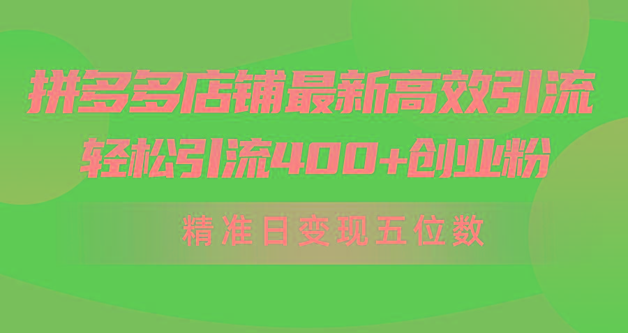 (10041期)拼多多店铺最新高效引流术，轻松引流400+创业粉，精准日变现五位数！-星河轻创