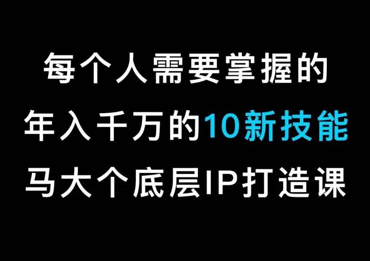 马大个的IP底层逻辑课，​每个人需要掌握的年入千万的10新技能，约会底层IP打造方法！-星河轻创