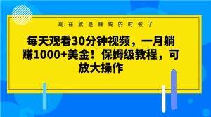 每天观看30分钟视频，一月躺赚1000+美金！保姆级教程，可放大操作【揭秘】-星河轻创