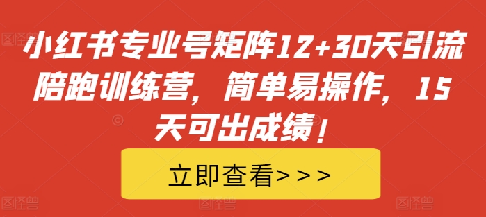 小红书专业号矩阵12+30天引流陪跑训练营，简单易操作，15天可出成绩!-星河轻创