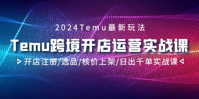 2024Temu跨境开店运营实战课，开店注册/选品/核价上架/日出千单实战课-星河轻创