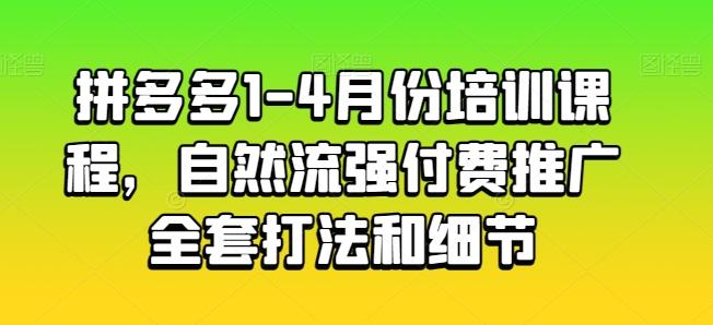 拼多多1-4月份培训课程，自然流强付费推广全套打法和细节-星河轻创