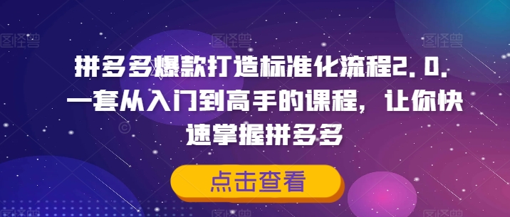 拼多多爆款打造标准化流程2.0，一套从入门到高手的课程，让你快速掌握拼多多-星河轻创