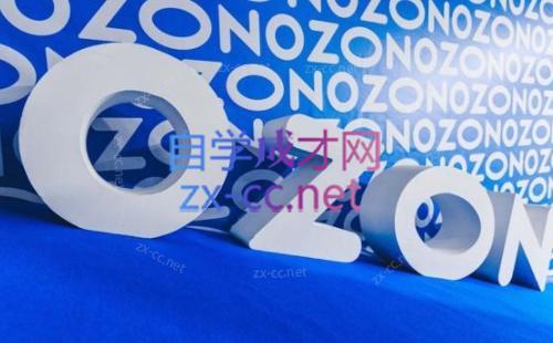 森哥·出海俄罗斯电商实操(2024)-星河轻创