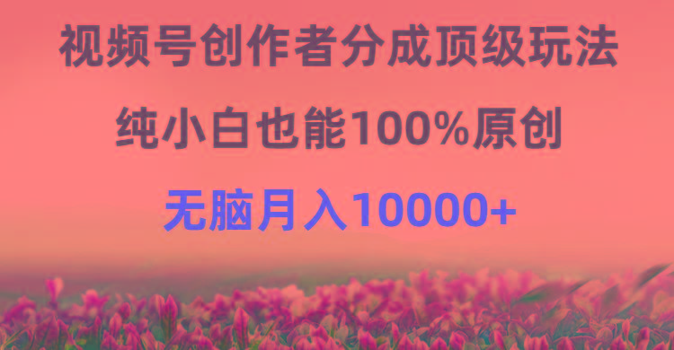 (9608期)视频号创作者分成顶级玩法，纯小白也能100%原创，无脑月入10000+-星河轻创