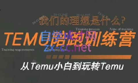 苗苗·拼多多跨境（temu）课程-星河轻创