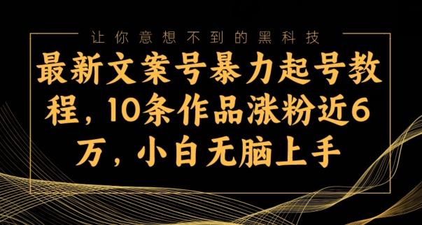 最新文案号暴力起号教程，10条作品涨粉近6万，小白无脑上手-星河轻创