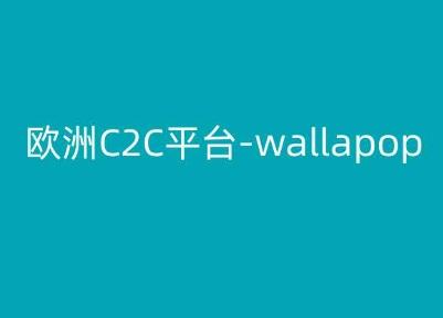欧洲C2C平台-wallapop-kim跨境电商教程-星河轻创