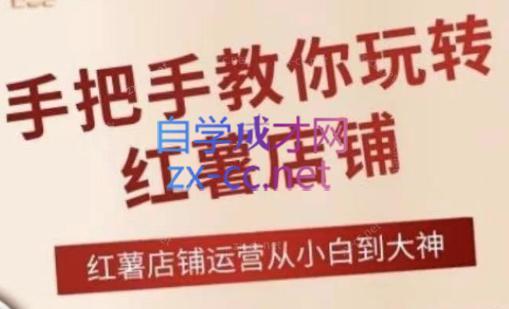 海燕老师·2024手把手教你玩转红薯店铺-星河轻创