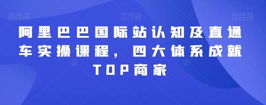阿里巴巴国际站认知及直通车实操课程，四大体系成就TOP商家-星河轻创