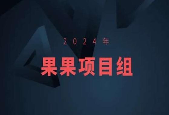 2024年果果项目组项目合集-果果最新项目-星河轻创