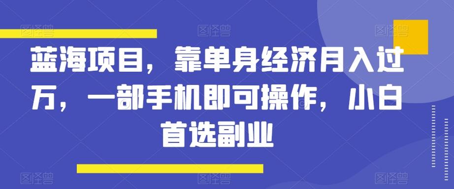 蓝海项目，靠单身经济月入过万，一部手机即可操作，小白首选副业【揭秘】-星河轻创