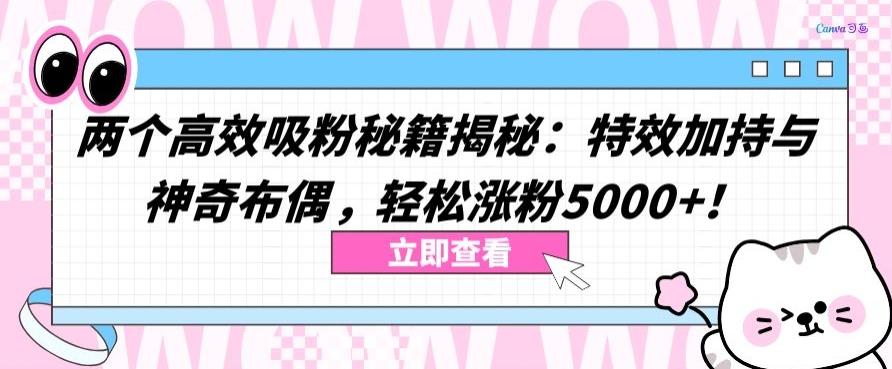两个高效吸粉秘籍揭秘：特效加持与神奇布偶，轻松涨粉5000+【揭秘】-星河轻创