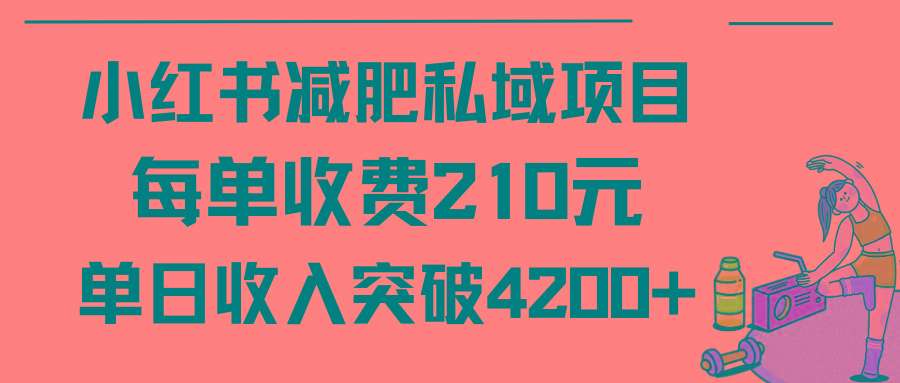 (9466期)小红书减肥私域项目每单收费210元单日成交20单，最高日入4200+-星河轻创