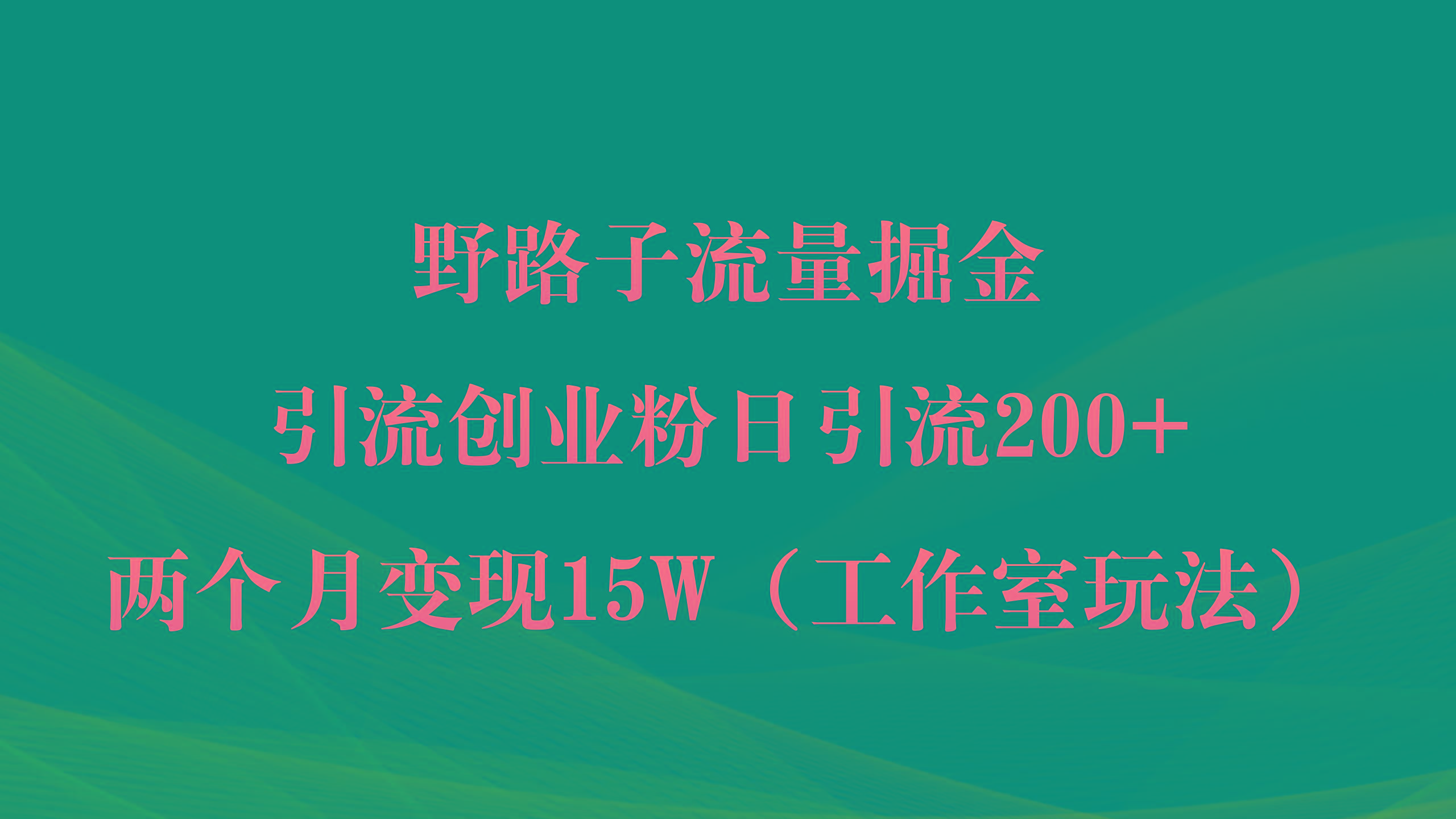 (9513期)野路子流量掘金，引流创业粉日引流200+，两个月变现15W(工作室玩法))-星河轻创