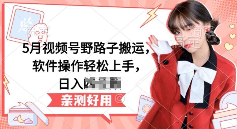 5月视频号野路子搬运，软件操作轻松上手，日入三位数【揭秘】-星河轻创