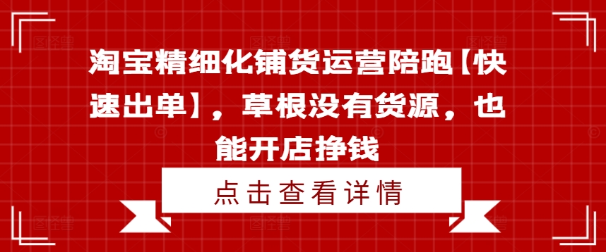 淘宝精细化铺货运营陪跑【快速出单】，草根没有货源，也能开店挣钱-星河轻创