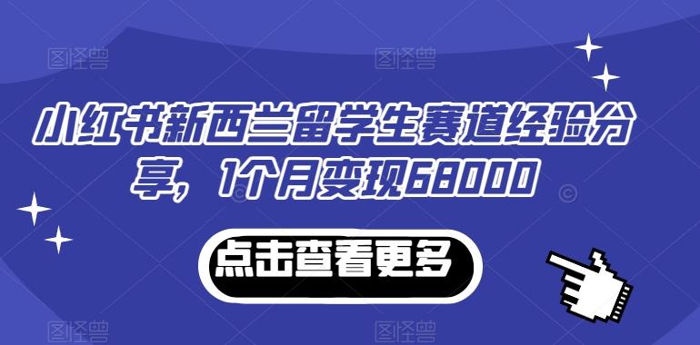 小红书新西兰留学生赛道经验分享，1个月变现68000【揭秘】-星河轻创