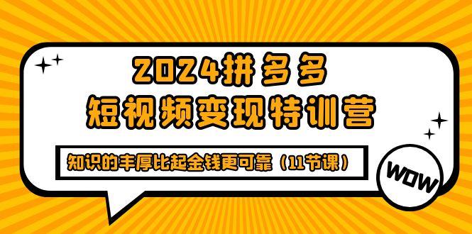 (9817期)2024拼多多短视频变现特训营，知识的丰厚比起金钱更可靠(11节课)-星河轻创