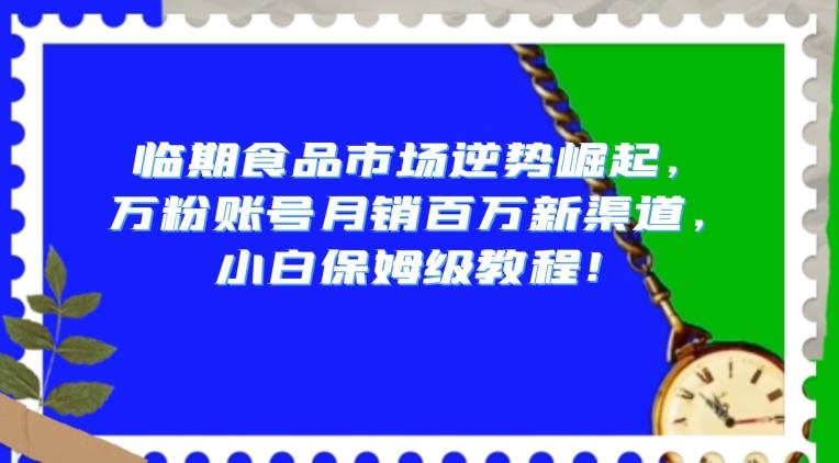 临期食品市场逆势崛起，万粉账号月销百万新渠道，小白保姆级教程【揭秘】-星河轻创
