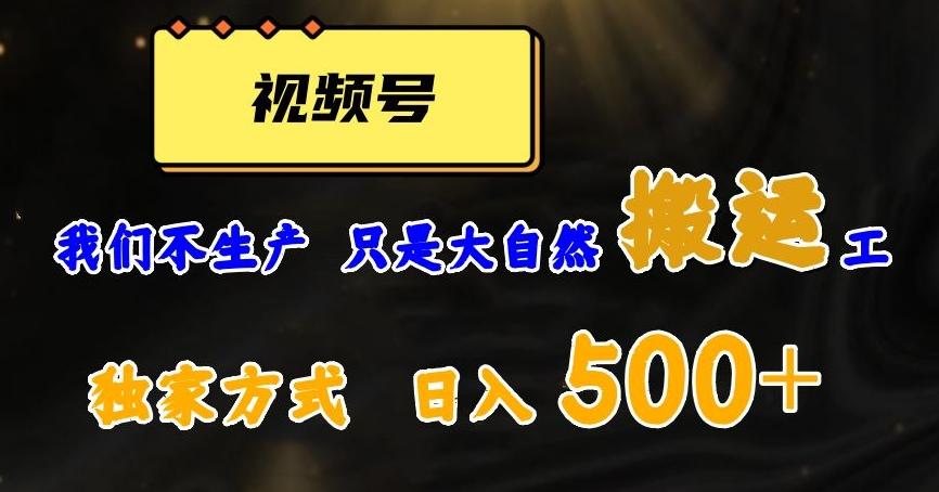 视频号轻松搬运日赚500+，一个1分钟1条原创视频【揭秘】-星河轻创