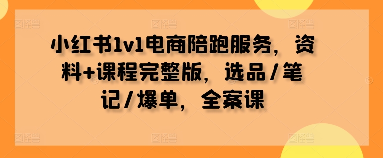 小红书1v1电商陪跑服务，资料+课程完整版，选品/笔记/爆单，全案课-星河轻创
