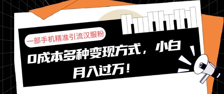 一部手机精准引流汉服粉，0成本多种变现方式，小白月入过万！-星河轻创