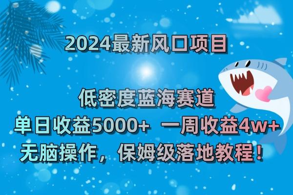 (8545期)2024最新风口项目 低密度蓝海赛道，日收益5000+周收益4w+ 无脑操作，保…-星河轻创