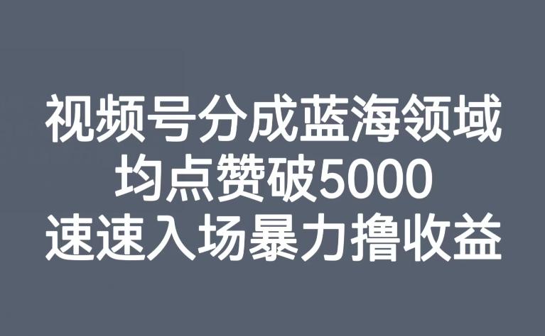 视频号分成蓝海领域，均点赞破5000，速速入场暴力撸收益-星河轻创